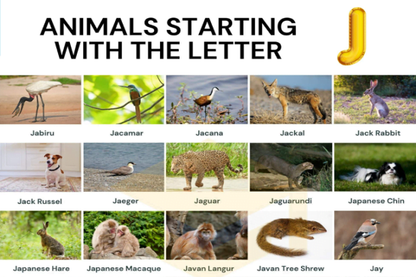 animals that start with e
